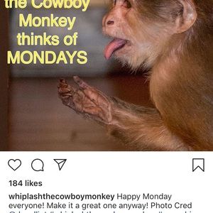 Meet your Posher, Chad